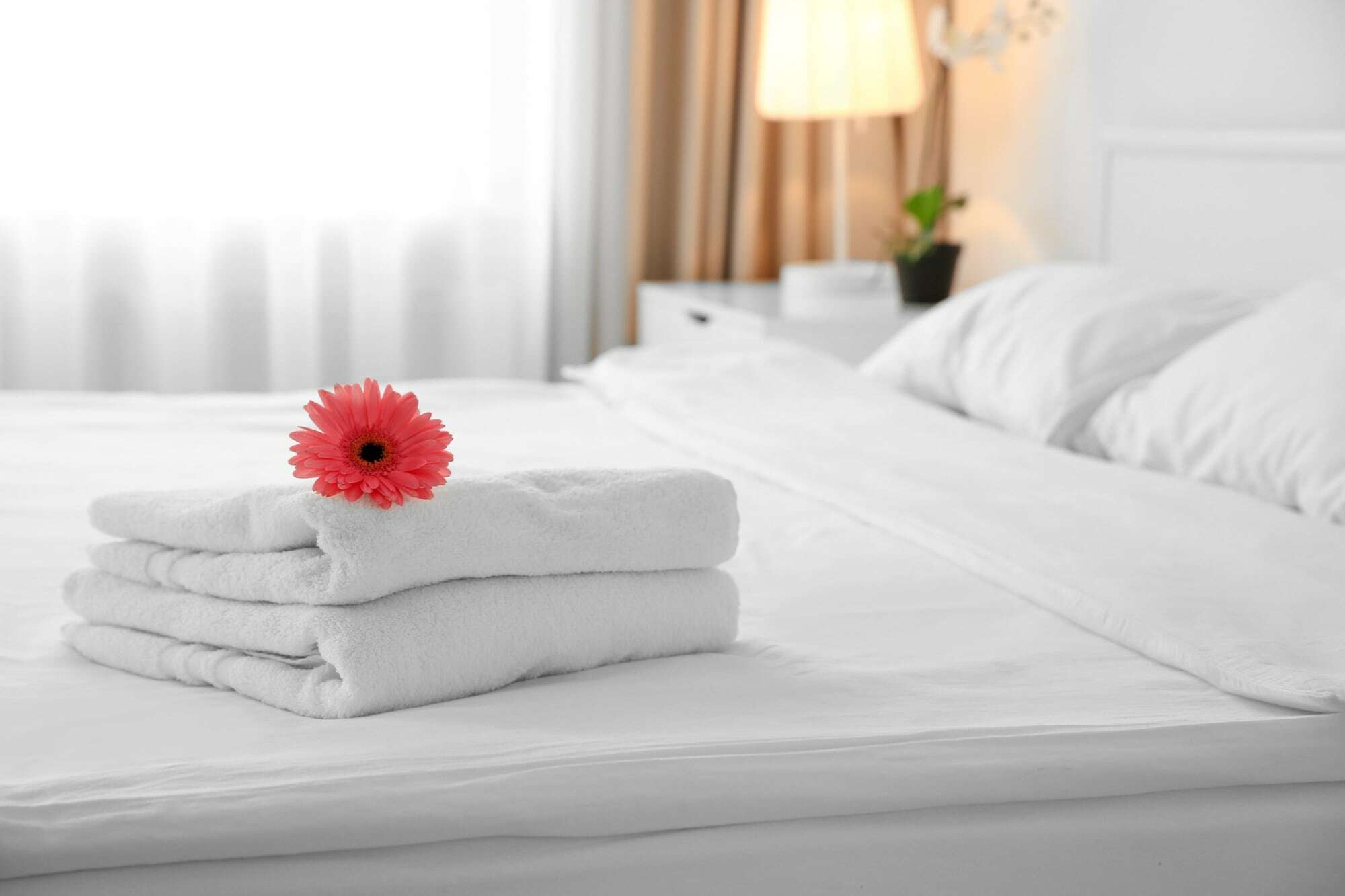 Signature Suites Peterborough Exteriör bild